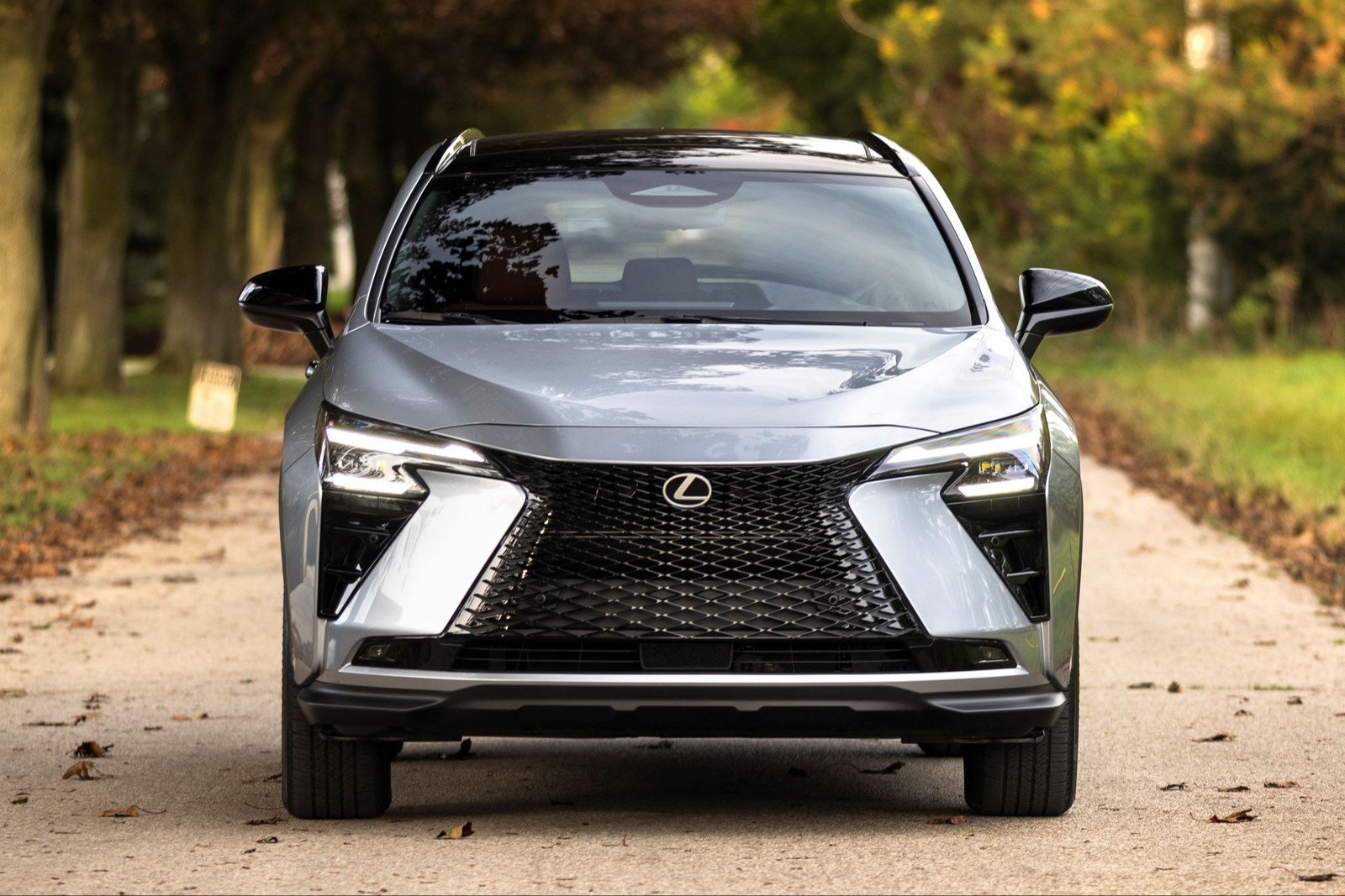 Front view of the 2027 Lexus NX 350h Luxury in Iridium silver on a tree-lined road